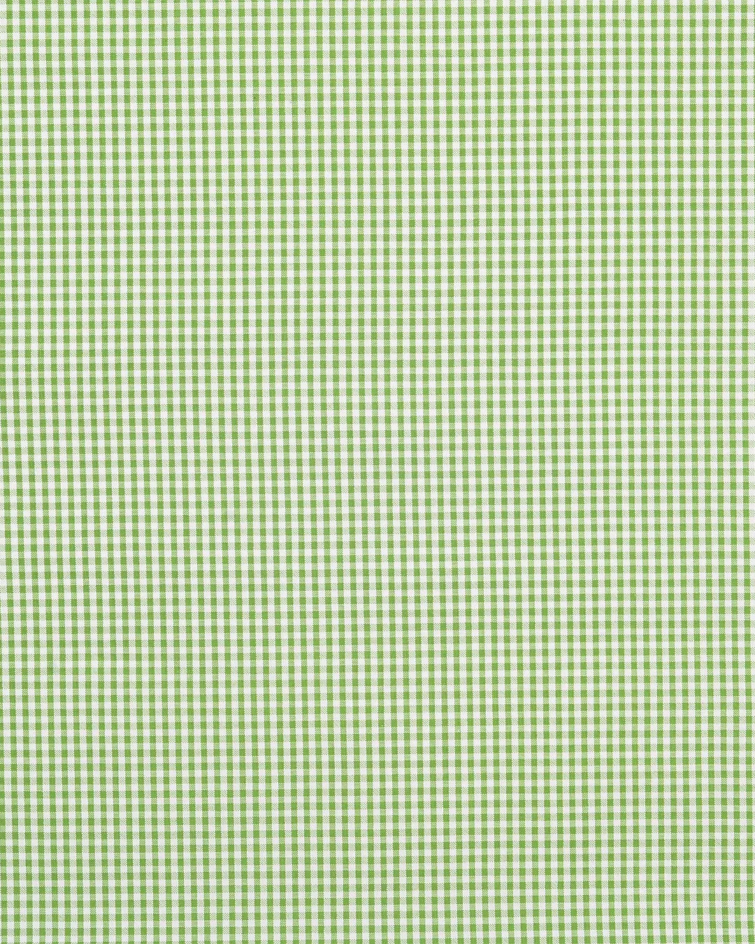 Green Small Gingham Seersucker